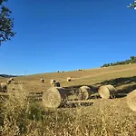 Di Contignano * Radicofani